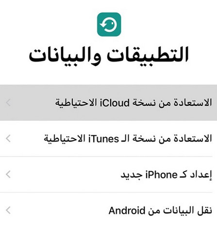restore data from icloud ipad