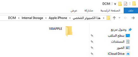 100-apple