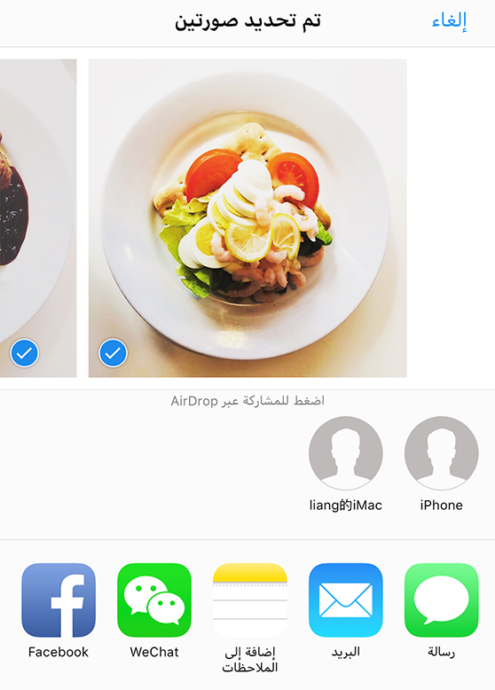 العامة لإعادةالإسقاط الجوي المحدد