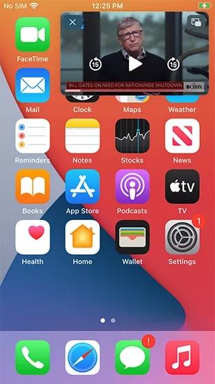 ios 14 pip