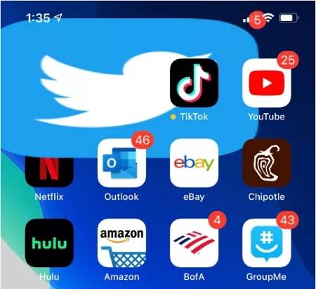 twitter logo bug ios 14