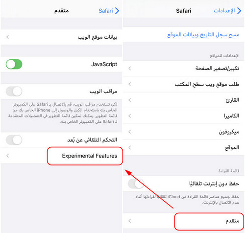 safari-advanced