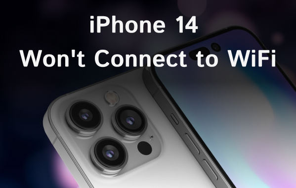 لن يتصل iphone 14 بشبكة wifi
