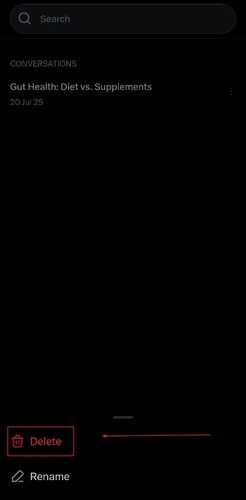 Delete a Grok Chat from the Options Menu