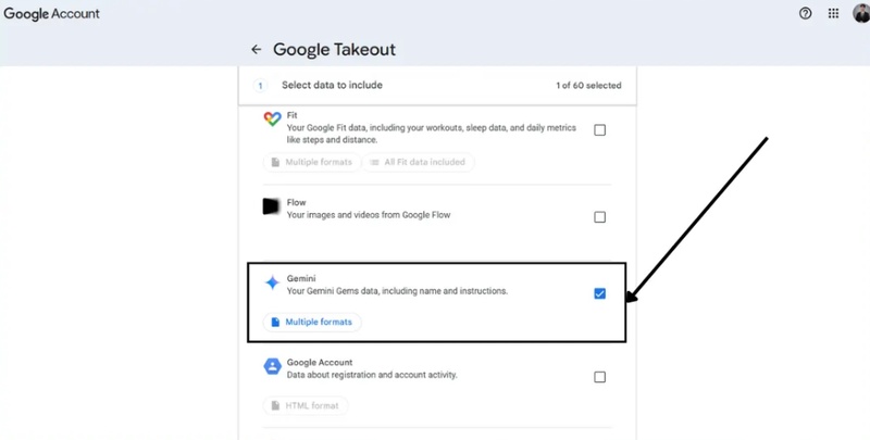 Export Gemini Chat History with Google Takeout