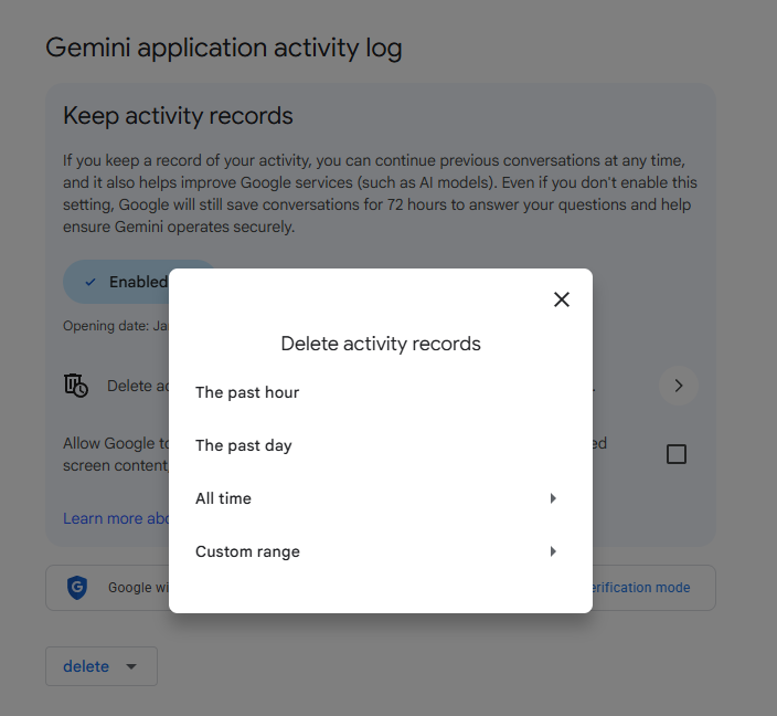 Gemini activity record deletion time range options