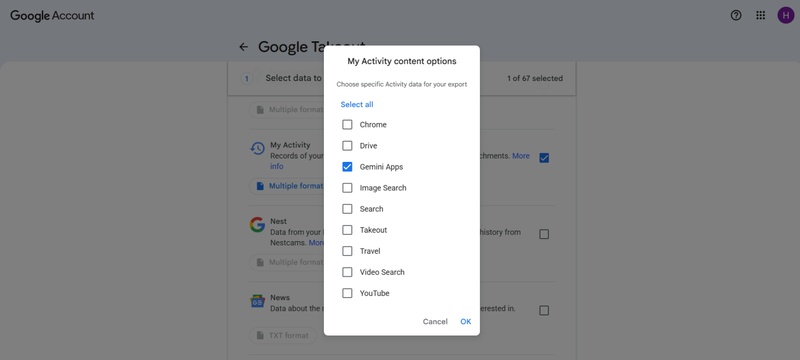 Select Gemini Apps in Google Takeout