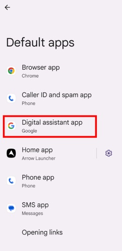 Select Google Assistant