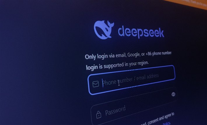 log deepseek