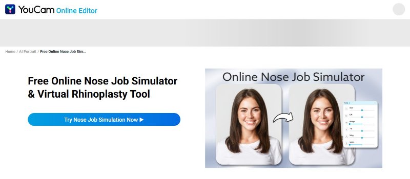 nose job simulator online free