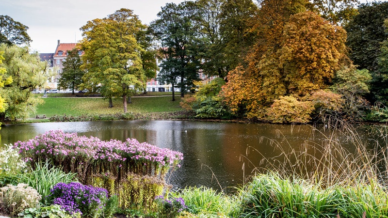 حديقة مركزية ذات نشاط ظهور معتدل