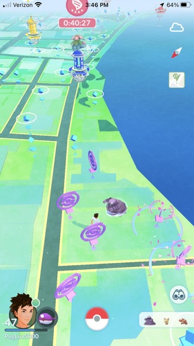 Comfey Spawns Infrequently Across Hawaiian Islands
