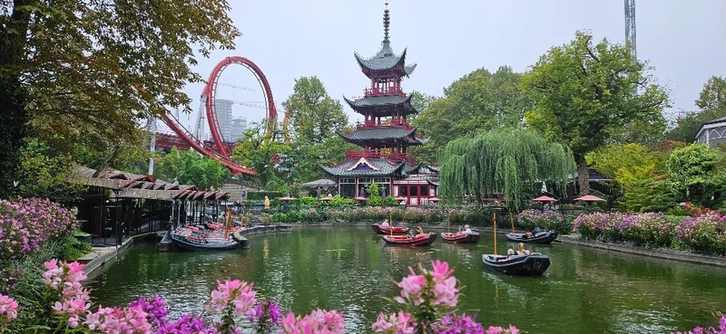 منتزه ترفيهي مع ظهور بوكيمون نادر