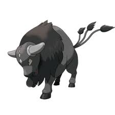 Paldean Tauros in Copenhagen Raids