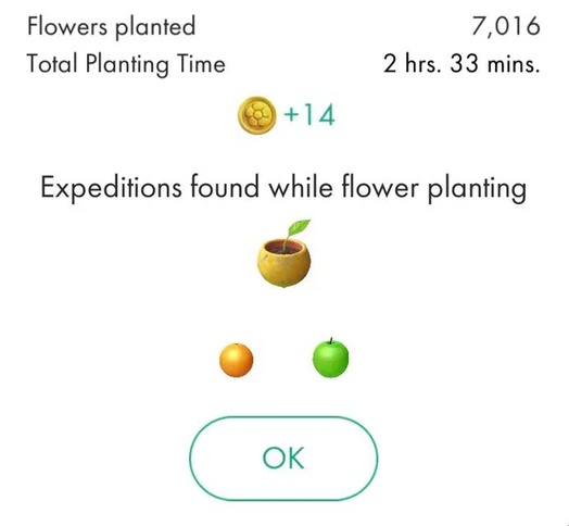 Plant flowers while walking with Pikmin