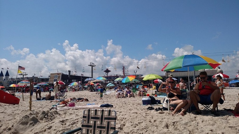 Pokémon in Open Walking Area