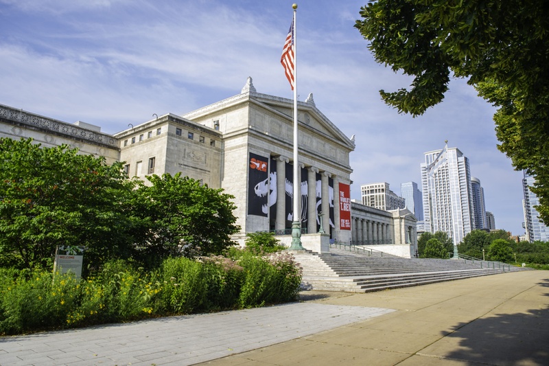 Rare Paldean Pokémon in Raids