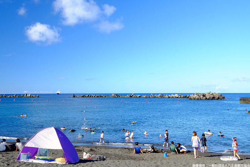 Shadow Raids with Paldean Tauros