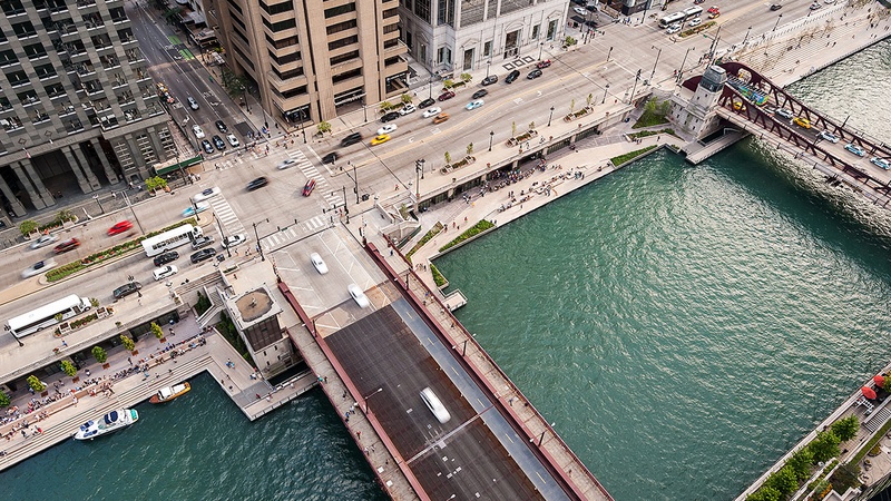 Shiny Electric Cat and Bull Pokémon