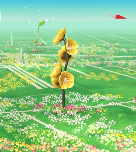 Various flowers for event challenges