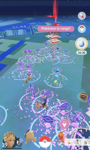 الواجهات المائية تظهر مخلوقات مائية نادرة