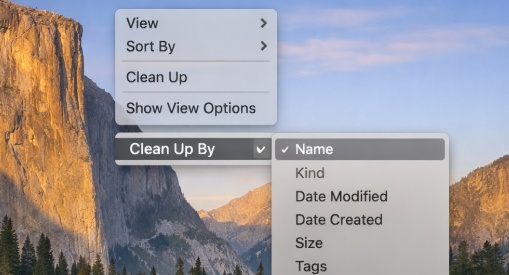 특정 카테고리별 Mac 정리