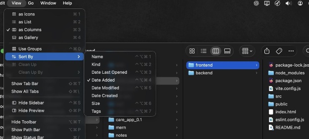 특정 카테고리별로 파인더 파일 정렬