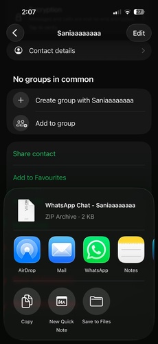 Sohbeti Mail veya AirDrop ile paylaşın