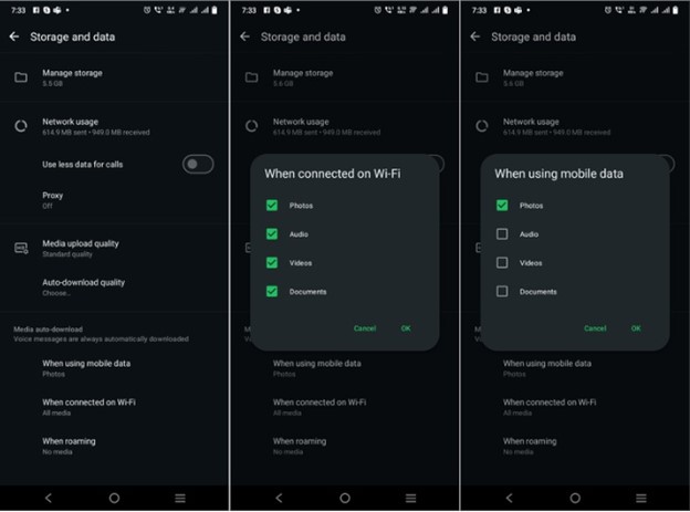 auto download