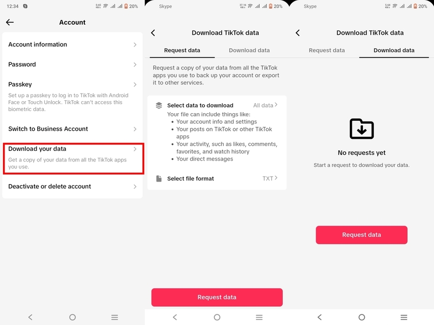 download tiktok personal data