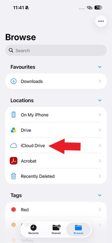 Check Icloud Drive Files