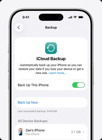 icloud backup check from settings