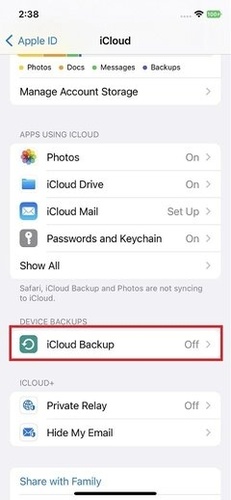 Open the Icloud Settings on the Iphone