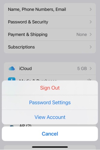 Sign Out and Sign Back into Apple Id