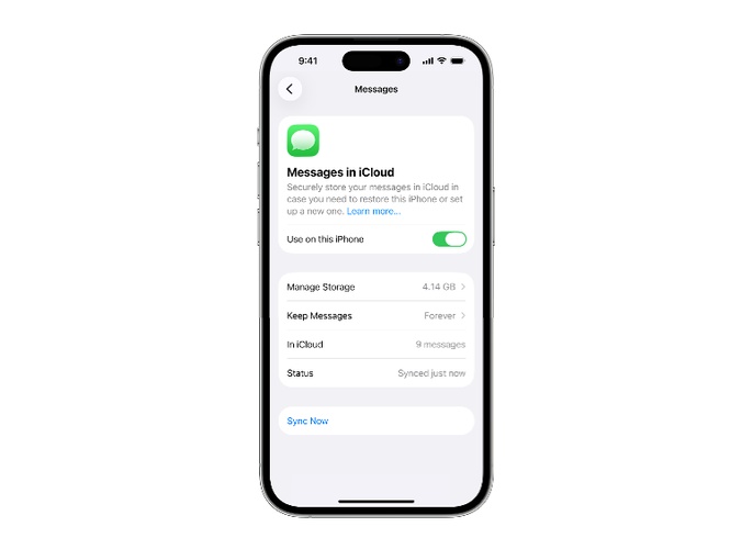 View Messages with Messages in Icloud