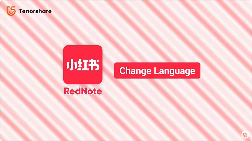 rednote translate