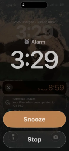 app icons are too big