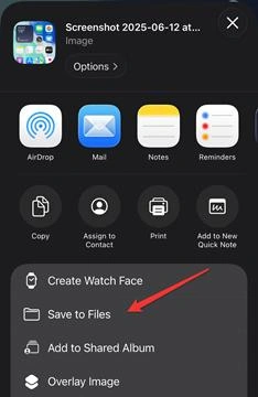 開啟 Preview app 介面