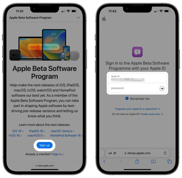 ios 19 beta software program