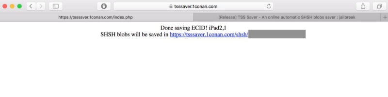 sumbit tsssaver