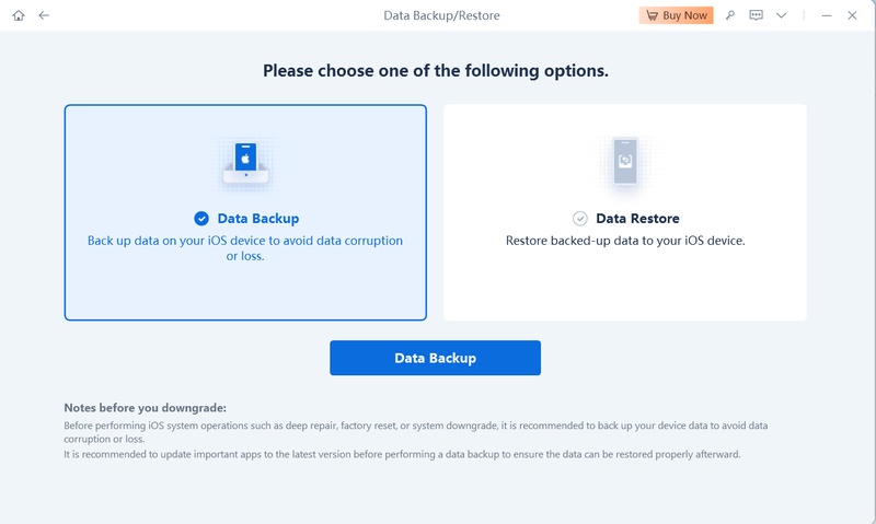 Backup Restore for Large System Data