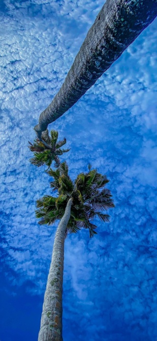 Ios 27 Beta Wallpaper 4k