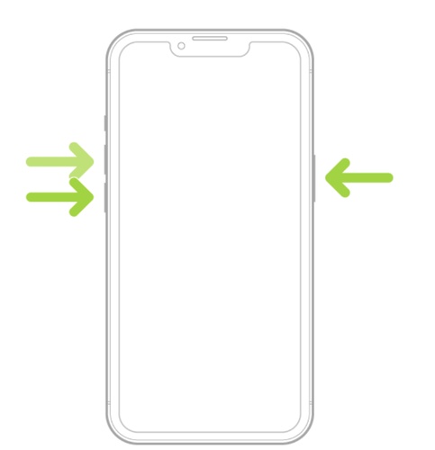 Press and Hold the Side Button