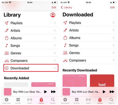 restart iphone check music battery activity