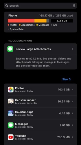 Tap iPhone Storage option
