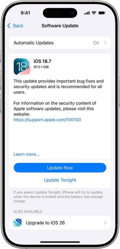 Tap Software Update in step two