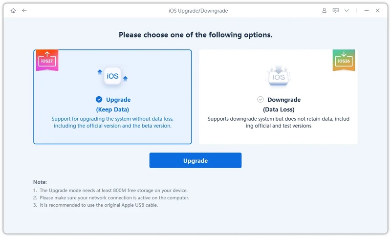 Upgrade Installs Newer Ipados Without Downgrading