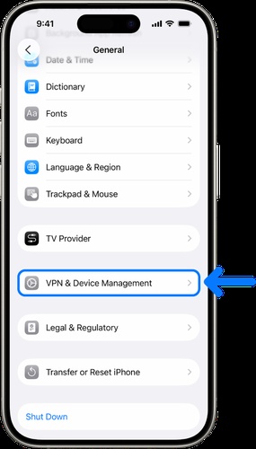 Vpn and Device Management Selection