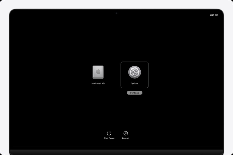 Wait for the Recovery System to Load