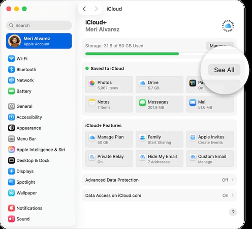 check icloud synced data